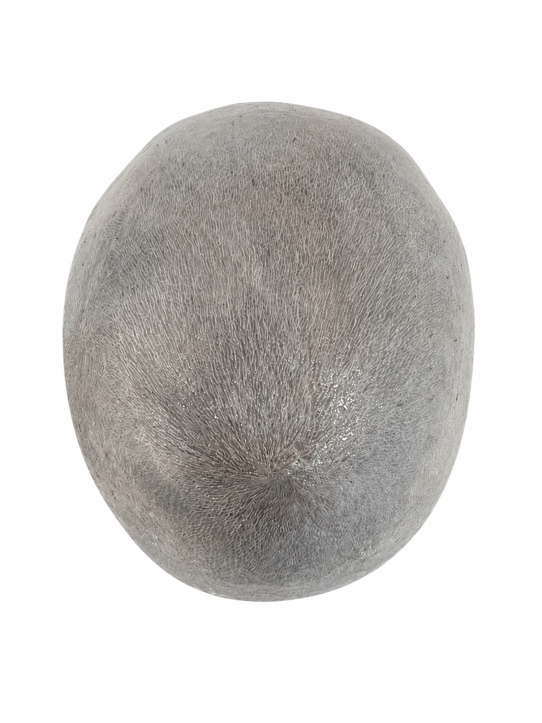 Patch Skin ultrasottile (60-100% capelli bianchi)